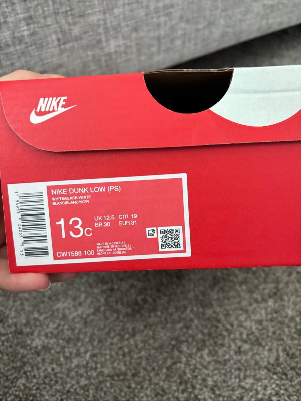 Kid’s Nike Dunk Low (PS)